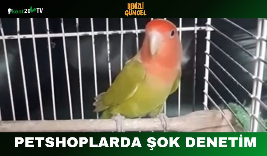 Petshoplarda Şok Denetim