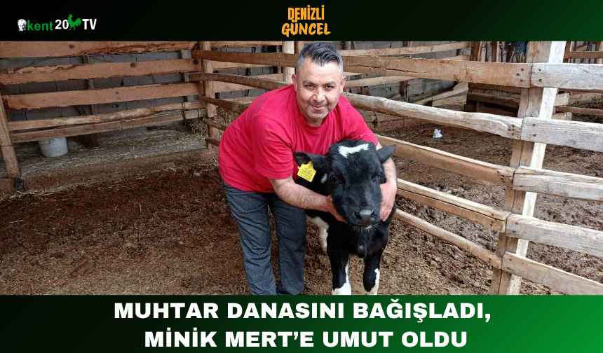 Muhtar Danasını Bağışladı, Minik Mert’e Umut Oldu