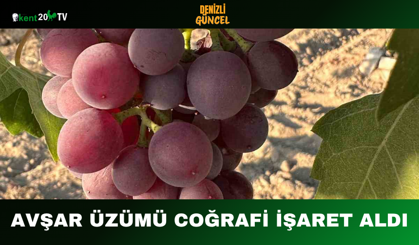 Avşar Üzümü Coğrafi İşaret Aldı