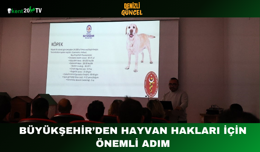 Büyükşehir’den hayvan hakları için önemli adım