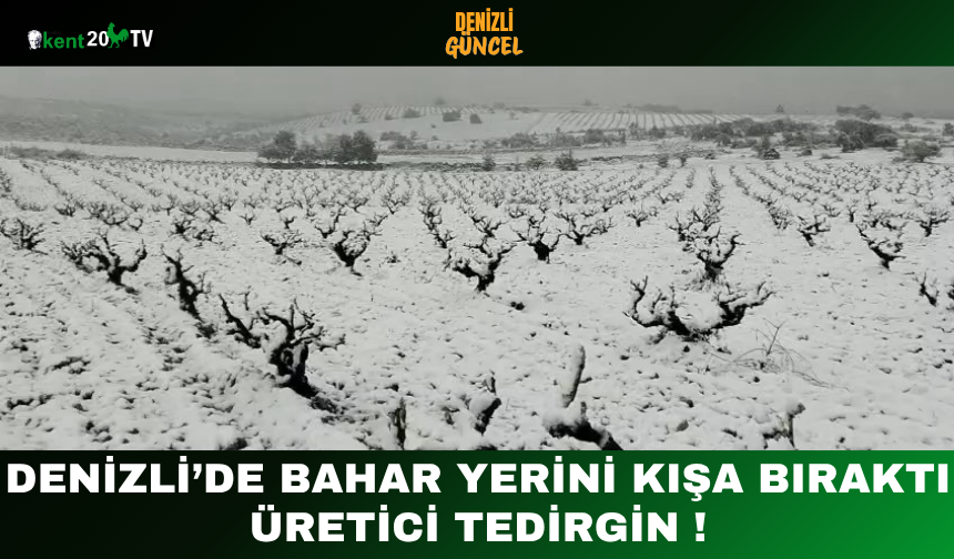 Denizli’de Bahar Yerini Kışa Bıraktı Üretici Tedirgin !