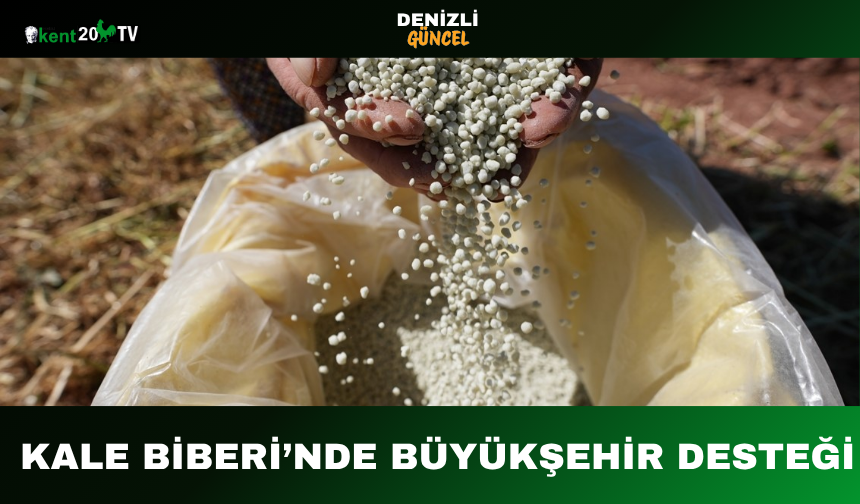 Kale Biberi’nde Büyükşehir Desteği