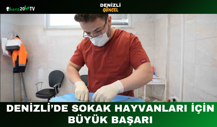 Denizli’de Sokak Hayvanları İçin Büyük Başarı