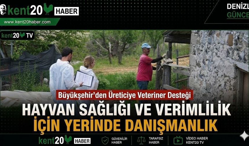 Hayvan Sağlığı ve Verimlilik İçin Yerinde Danışmanlık