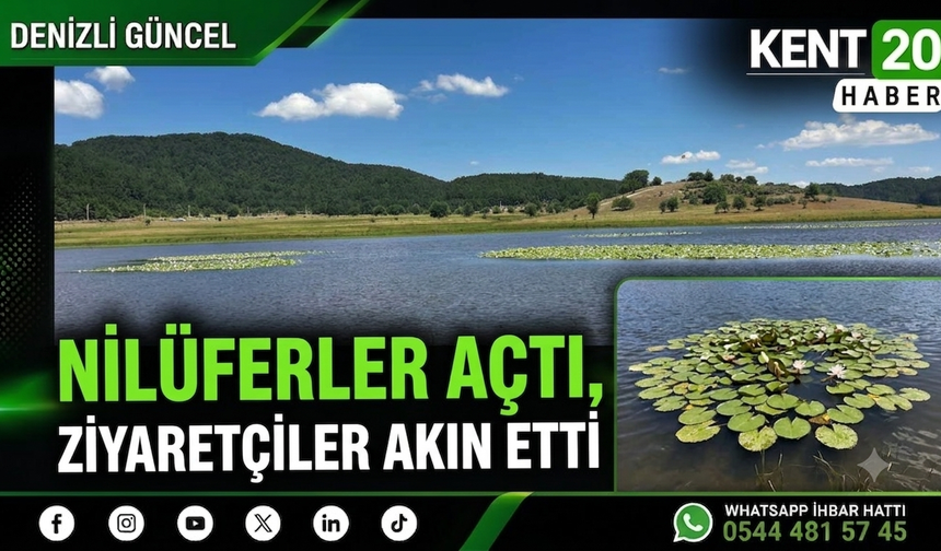 Nilüferler Açtı, Ziyaretçiler Akın Etti