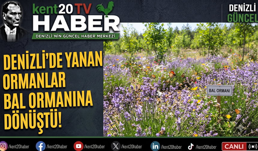 DENİZLİ’DE YANAN ORMANLAR BAL ORMANINA DÖNÜŞTÜ!
