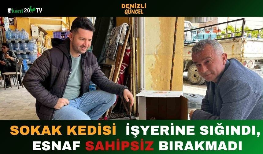 Sokak Kedisi İşyerine Sığındı, Esnaf Sahipsiz Bırakmadı