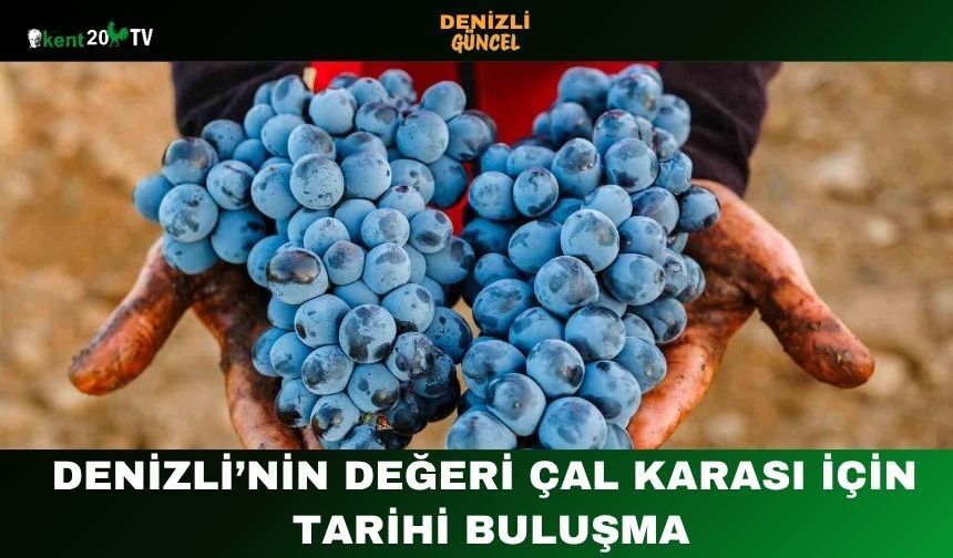 Denizli’nin Değeri Çal Karası İçin Tarihi Buluşma