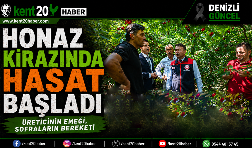 Honaz Kirazında Hasat Başladı