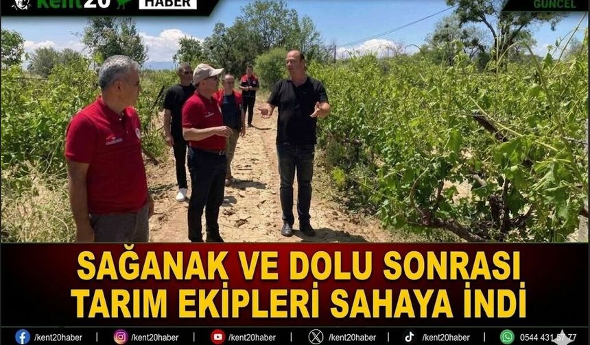 Sağanak ve Dolu Sonrası Tarım Ekipleri Sahaya İndi
