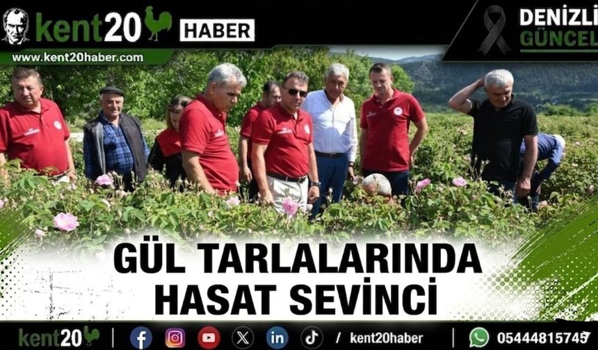 Gül Tarlalarında Hasat Sevinci