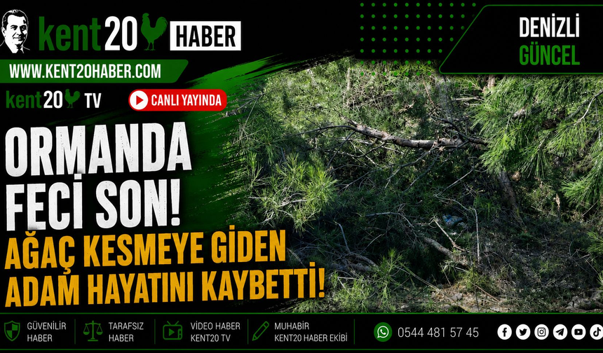 Honaz’da Acı Sabah: Yem Almaya Giderken Can Verdi