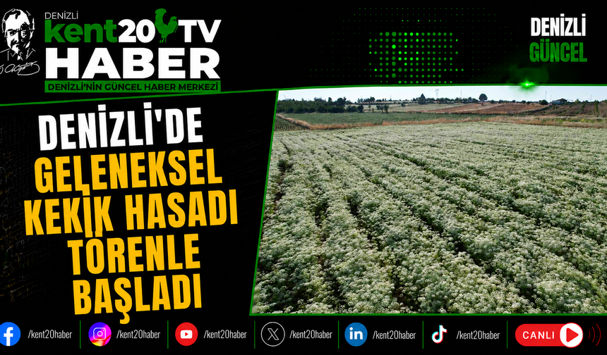 Denizli'de Geleneksel Kekik Hasadı Törenle Başladı