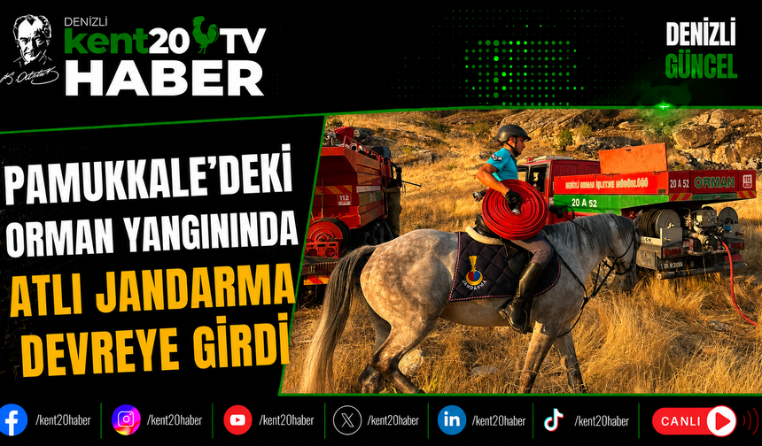 Pamukkale’deki Orman Yangınında Atlı Jandarma Devreye Girdi