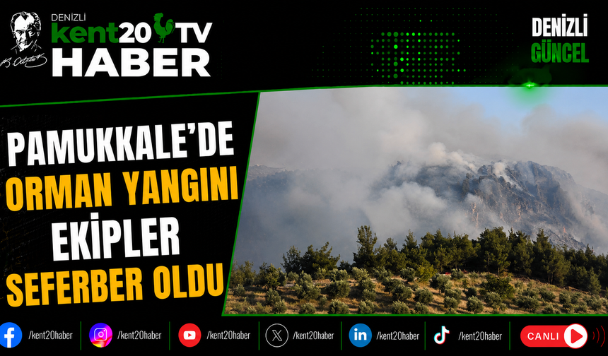 Pamukkale'de Orman Yangını Ekipler Seferber Oldu