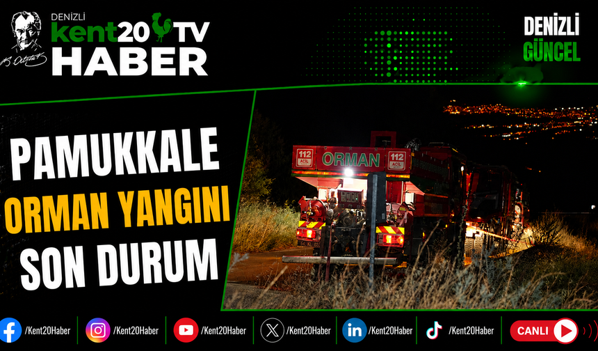 Pamukkale Orman Yangını Son Durum