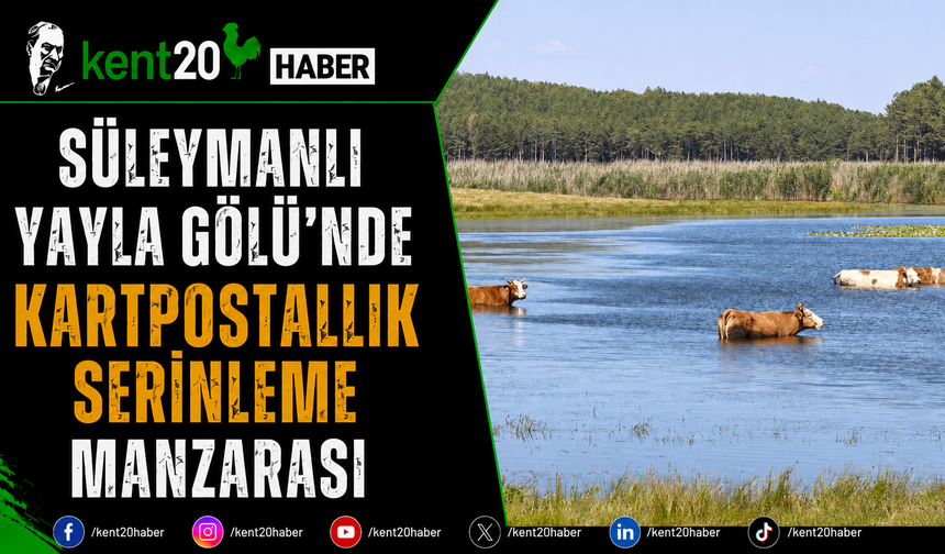 Süleymanlı Yayla Gölü'nde Kartpostallık Serinleme Manzarası