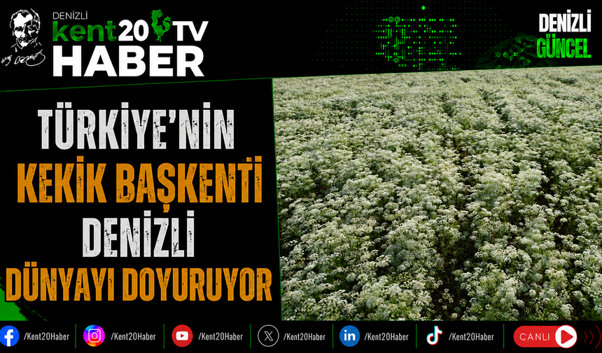 Türkiye'nin Kekik Başkenti Denizli Dünyayı Doyuruyor