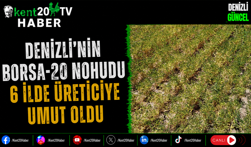 Denizli'nin Borsa-20 Nohudu 6 İlde Üreticiye Umut Oldu