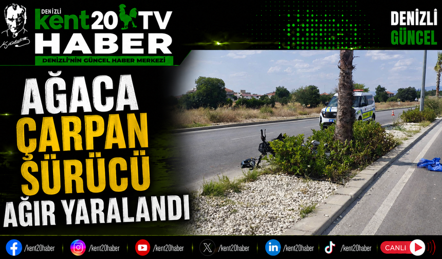 Ağaca Çarpan Sürücü Ağır Yaralandı