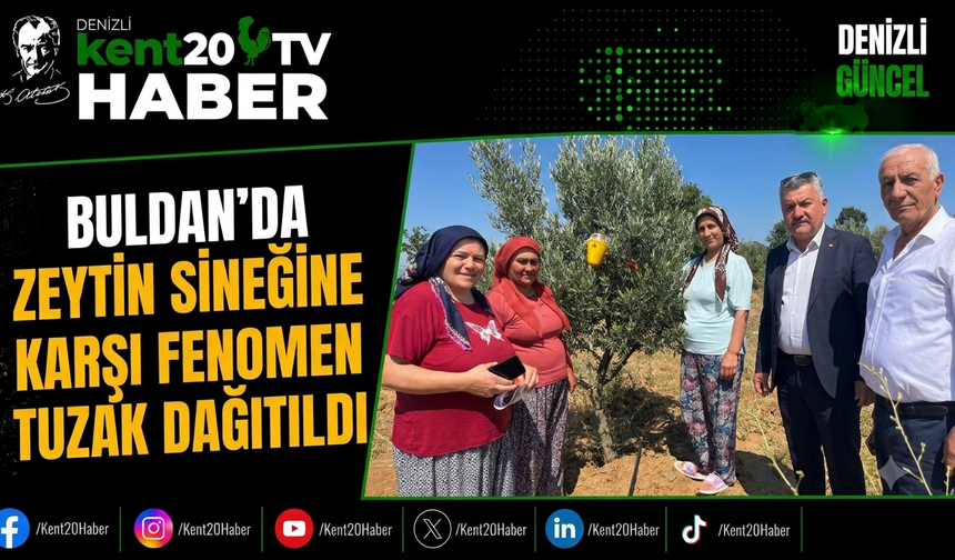 Buldan'da Zeytin Sineğine Karşı Fenomen Tuzak Dağıtıldı