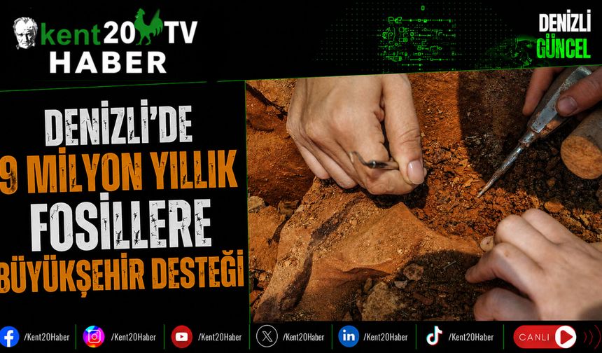 Denizli'de 9 Milyon Yıllık Fosillere Büyükşehir Desteği