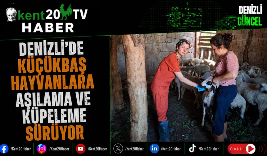 Denizli'de Küçükbaş Hayvanlara Aşılama ve Küpeleme Sürüyor