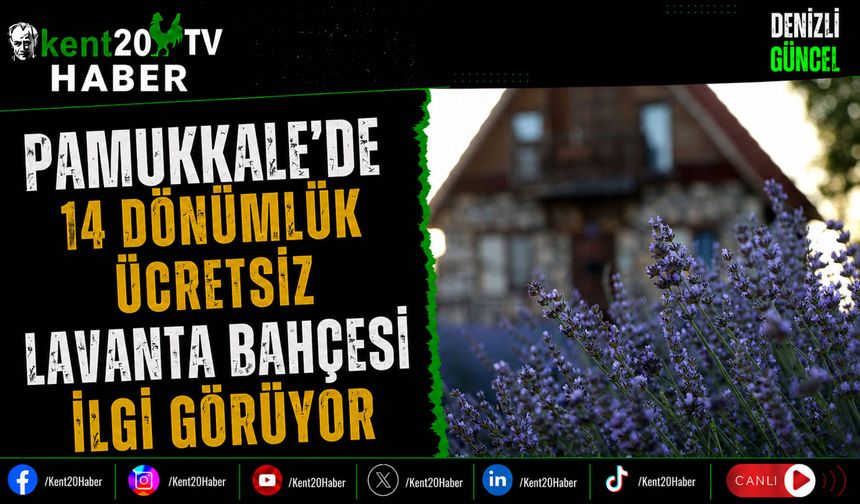 Pamukkale'de 14 Dönümlük Ücretsiz Lavanta Bahçesi İlgi Görüyor