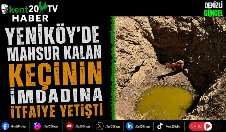Yeniköy'de Mahsur Kalan Keçinin İmdadına İtfaiye Yetişti