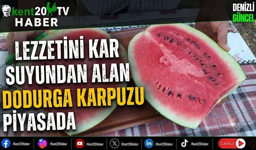 Lezzetini Kar Suyundan Alan Dodurga Karpuzu Piyasada