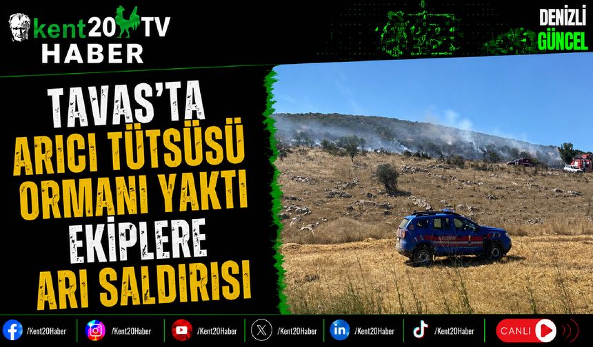 Tavas'ta Arıcı Tütsüsü Ormanı Yaktı Ekiplere Arı Saldırısı