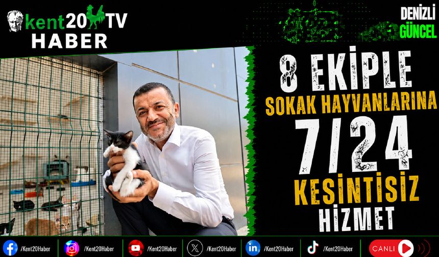 8 Ekiple Sokak Hayvanlarına 7/24 Kesintisiz Hizmet