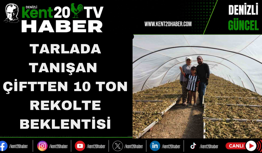 Tarlada Tanışan Çiftten 10 Ton Rekolte Beklentisi