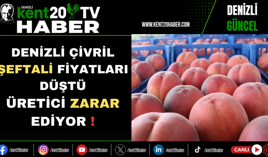 Denizli Çivril Şeftali Fiyatları Düştü Üretici Zarar Ediyor