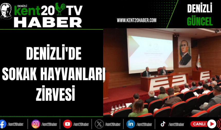 Denizli'de Sokak Hayvanları Zirvesi