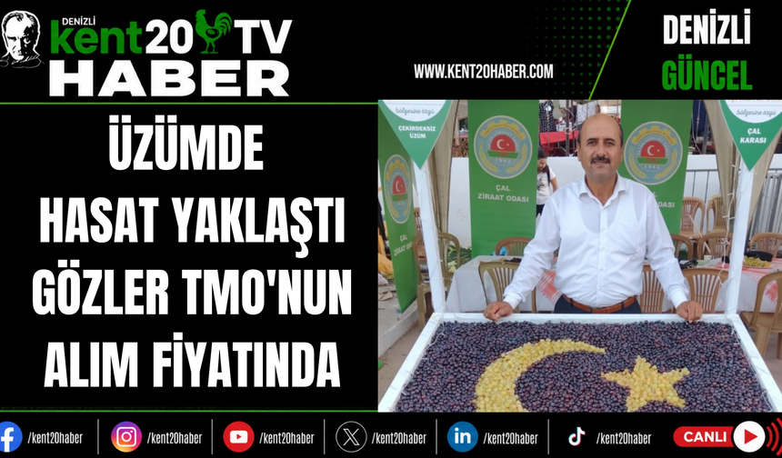 Üzümde Hasat Yaklaştı Gözler TMO'nun Alım Fiyatında