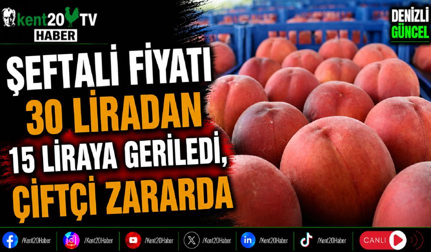 Şeftali Fiyatı 30 Liradan 15 Liraya Geriledi, Çiftçi Zararda