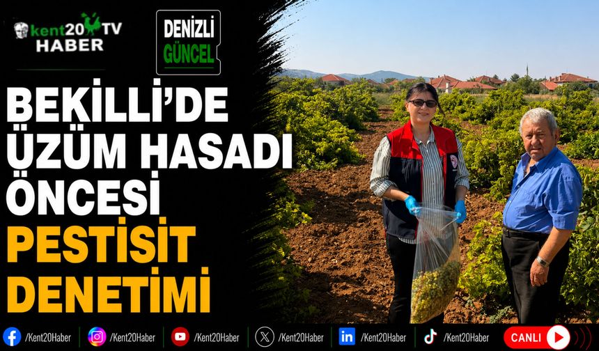 Bekilli'de Üzüm Hasadı Öncesi Pestisit Denetimi