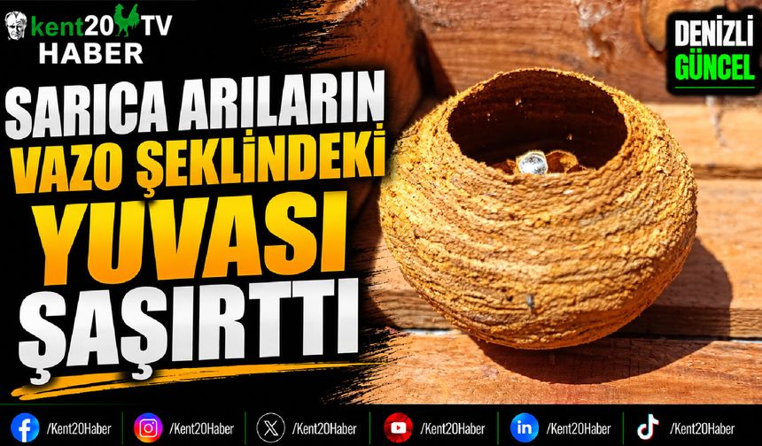 Sarıca Arıların Vazo Şeklindeki Yuvası Şaşırttı
