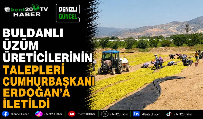 Buldanlı üzüm üreticilerinin talepleri Cumhurbaşkanı Erdoğan'a iletildi