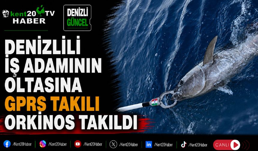 Denizlili iş adamının oltasına GPRS takılı orkinos takıldı