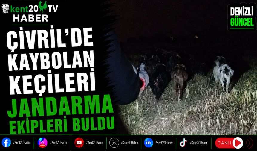 Çivril'de Kaybolan Keçileri Jandarma Ekipleri Buldu