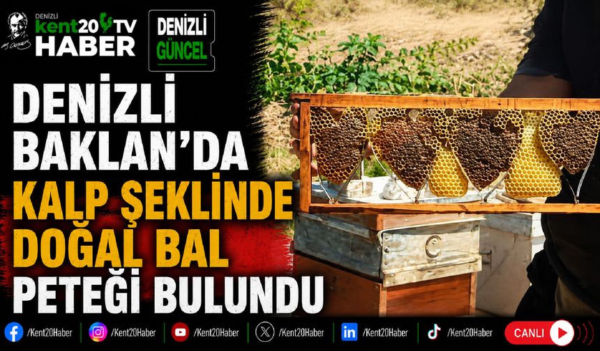 Denizli Baklan'da Kalp Şeklinde Doğal Bal Peteği Bulundu