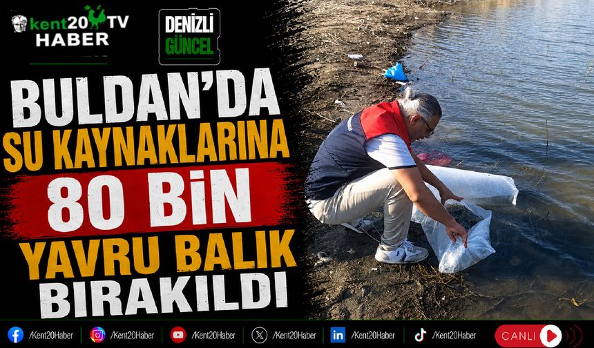 Buldan'da Su Kaynaklarına 80 Bin Yavru Balık Bırakıldı
