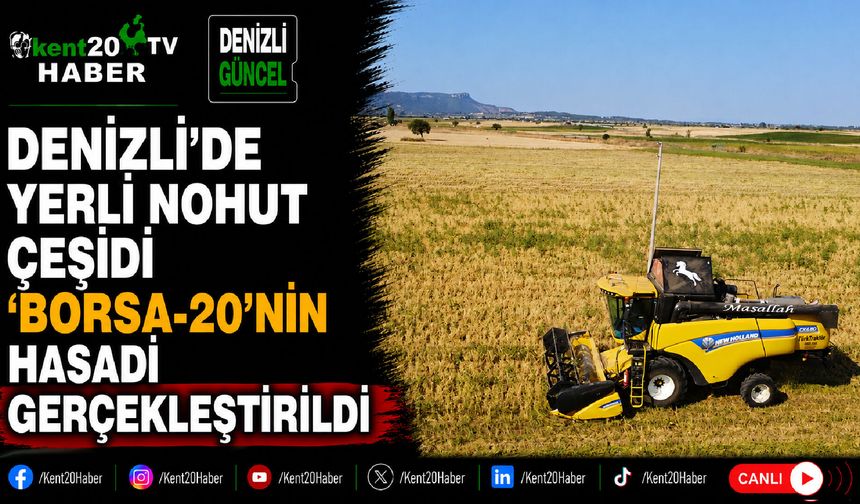 Denizli'de yerli nohut çeşidi 'Borsa-20'nin hasadı gerçekleştirildi