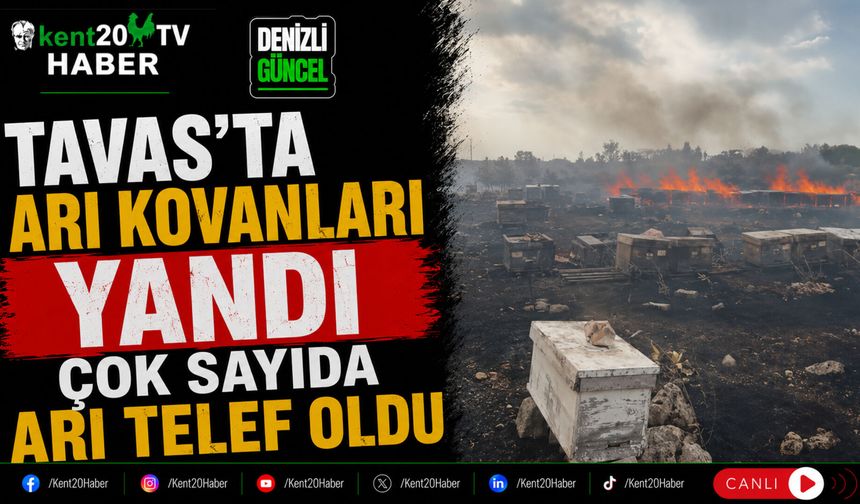 Tavas'ta Arı Kovanları Yandı Çok Sayıda Arı Telef Oldu