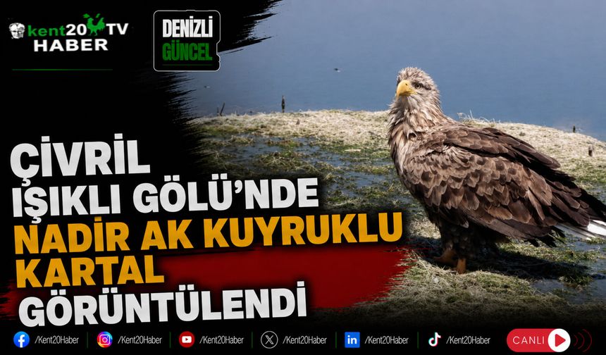 Çivril Işıklı Gölü'nde Nadir Ak Kuyruklu Kartal Görüntülendi