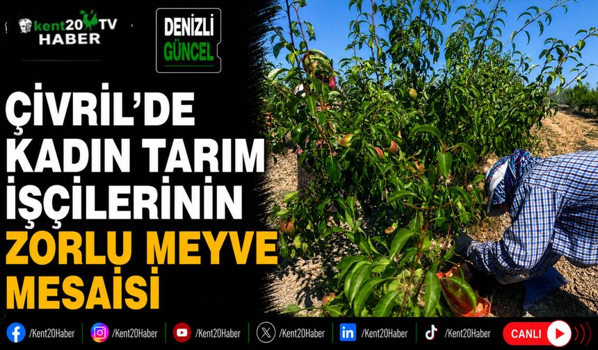 Çivril'de Kadın Tarım İşçilerinin Zorlu Meyve Mesaisi