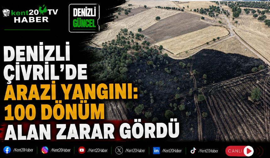 Denizli Çivril'de arazi yangını: 100 dönüm alan zarar gördü