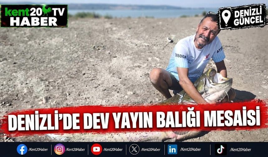 Denizli'de dev yayın balığı mesaisi
